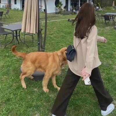 罪案终结第一季